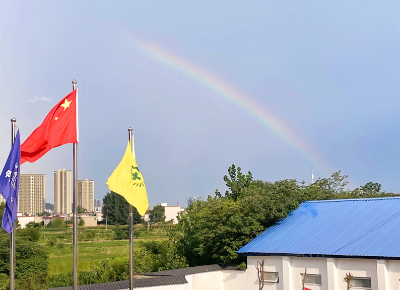7.《惊鸿一瞥》（摄影 机械化工程公司 白茹）.jpg
